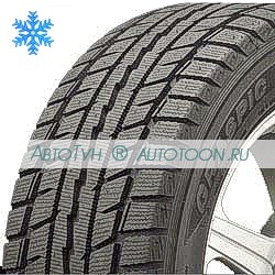 GRASPIC DS2 GRASPIC DS2